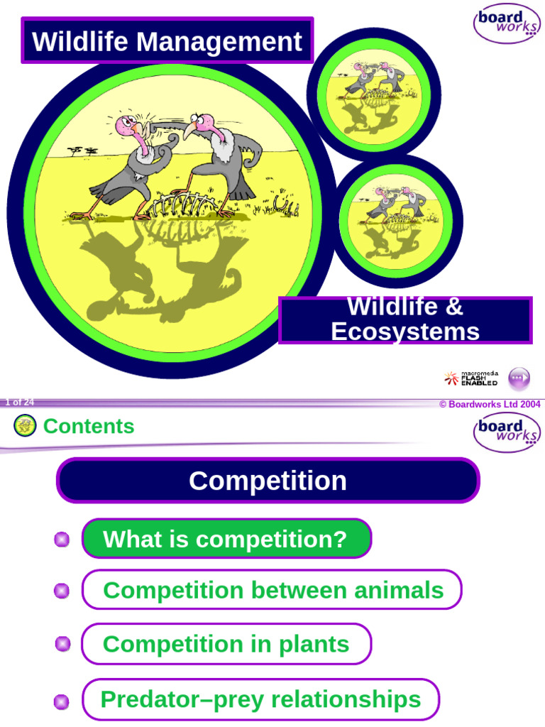 Wildlife Competition and Ecosystems Overview | PDF | Predation ...