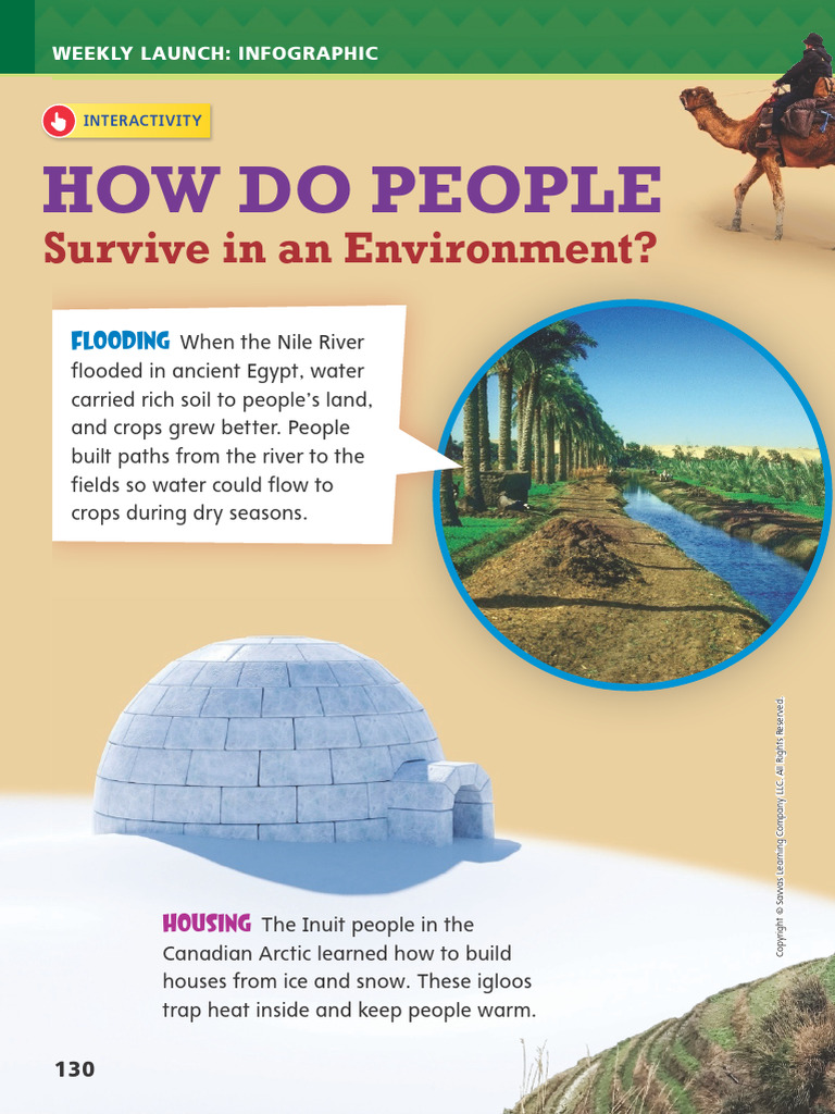 Creative Survival in Extreme Environments | PDF | Desert | Rain