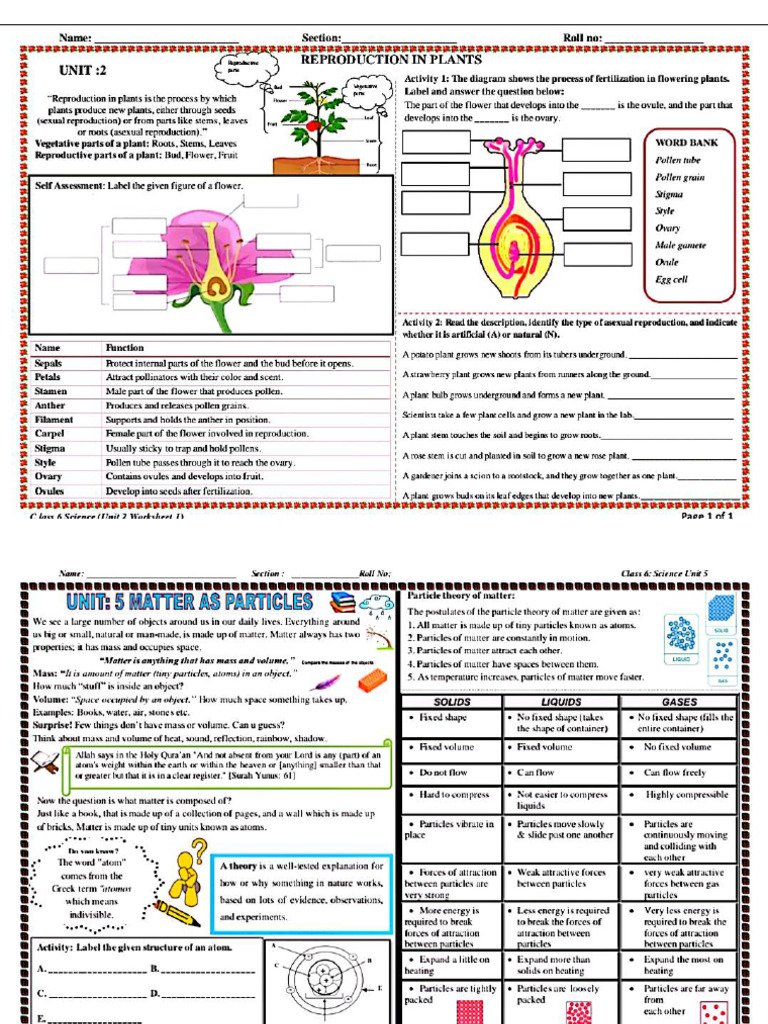 6Sc Worksheets FS 2025 | PDF
