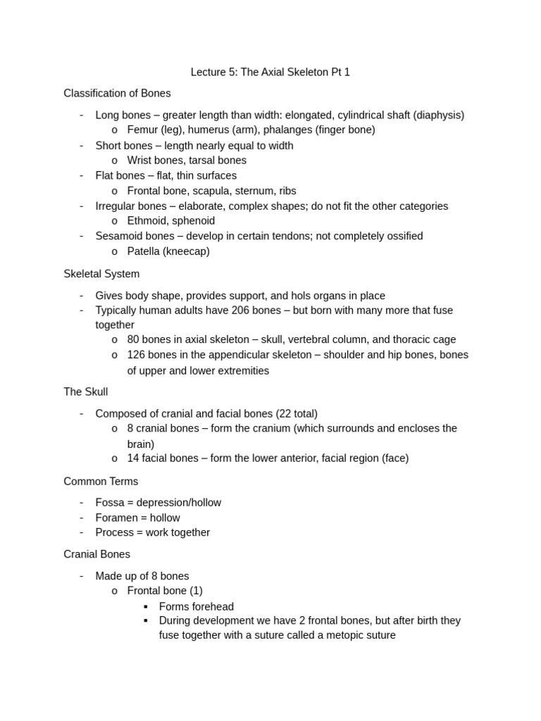 Axial Skeleton: Bone Classification & Skull Anatomy | PDF | Human Nose ...