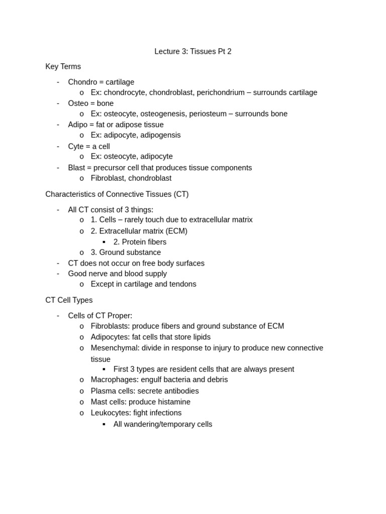 L3 - Tissues Pt2 | PDF