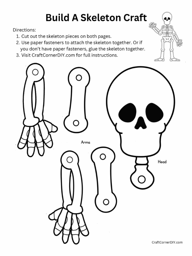 Build a Skeleton | PDF