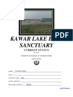 Kawar Lake Bird Sanctuary - 02