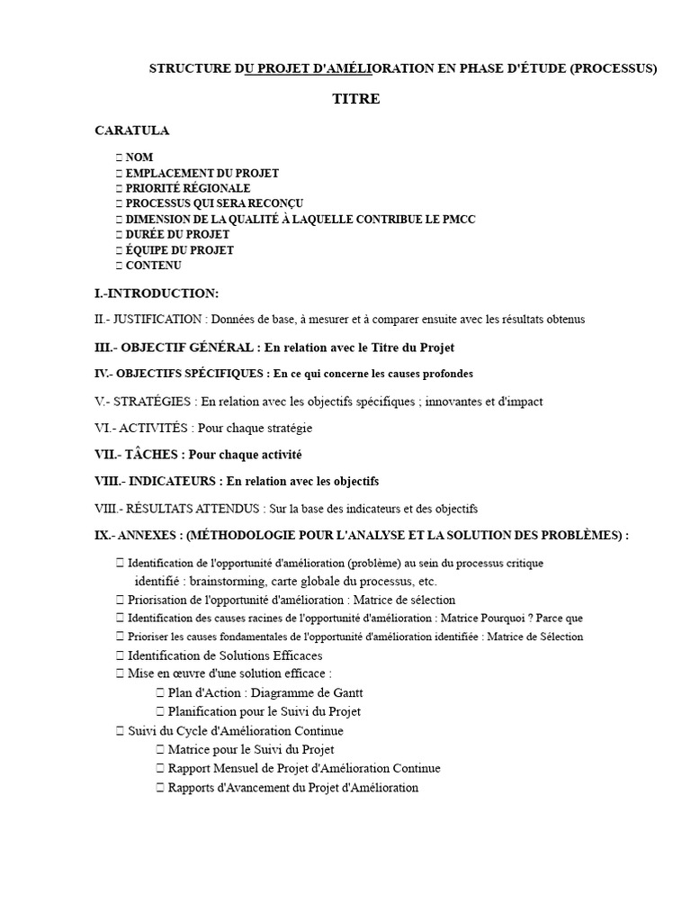 Projet d'Amélioration : Guide Complet | PDF | Gestion de projet