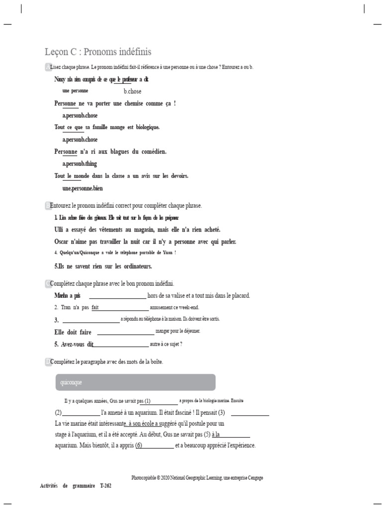 Pronoms indéfinis en français : leçon C | PDF