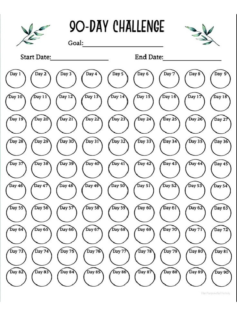 90days Challenge ? | PDF