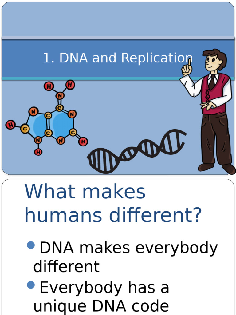 DNA Replication Power Point | PDF
