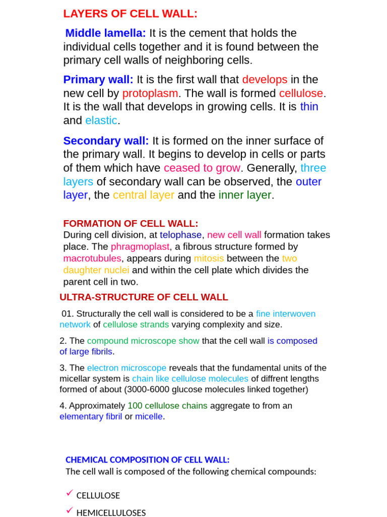 Plant Cell (Rest) | PDF | Cell Wall | Biology