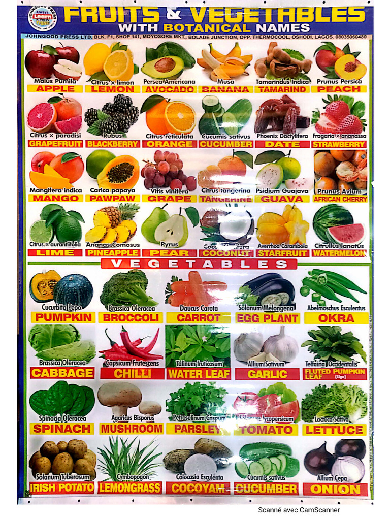 Fruits | PDF