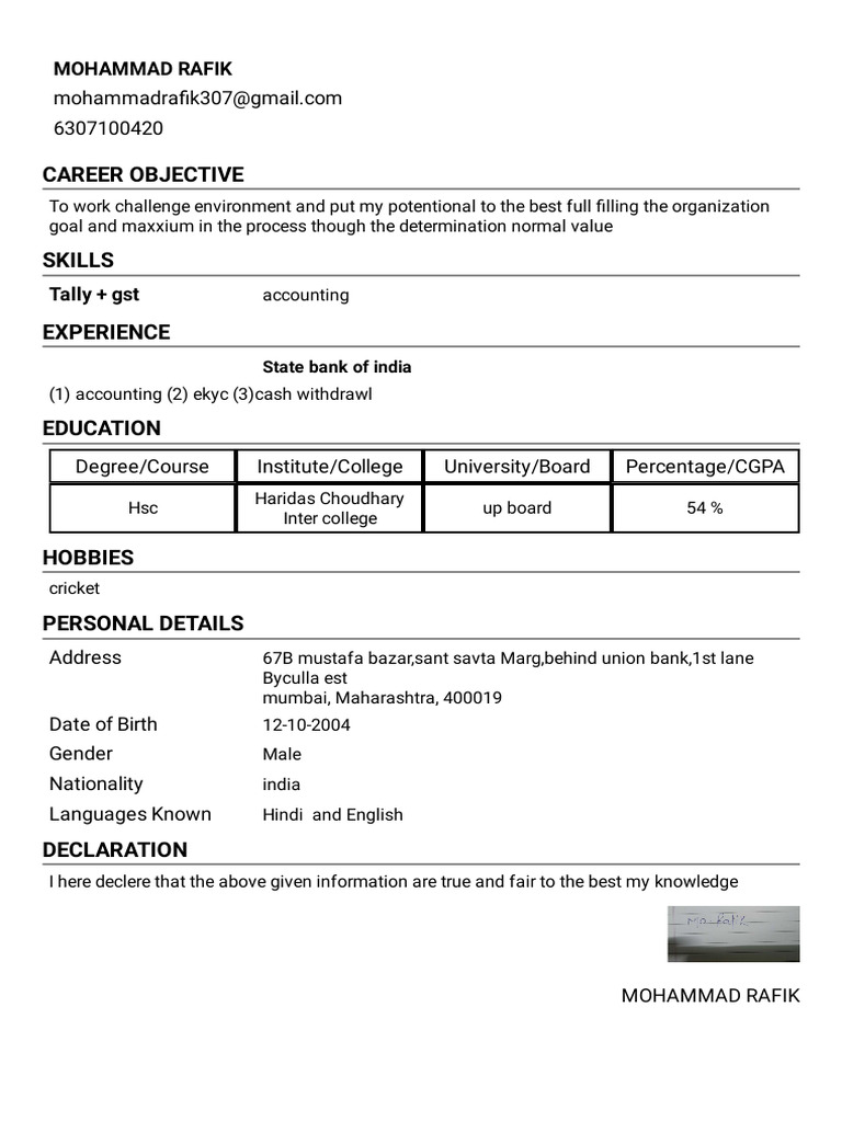 Resume of Mohammad Rafik - Accounting Skills | PDF