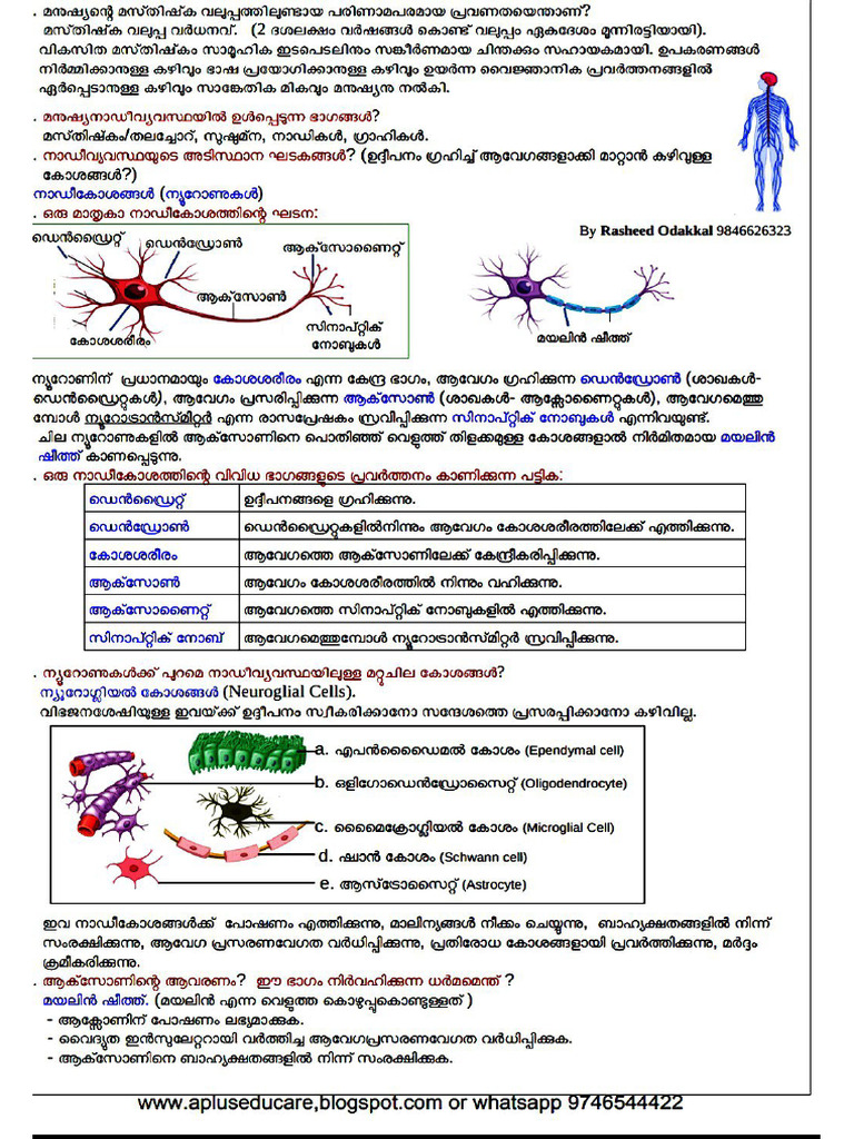 10th Biology Notes | PDF