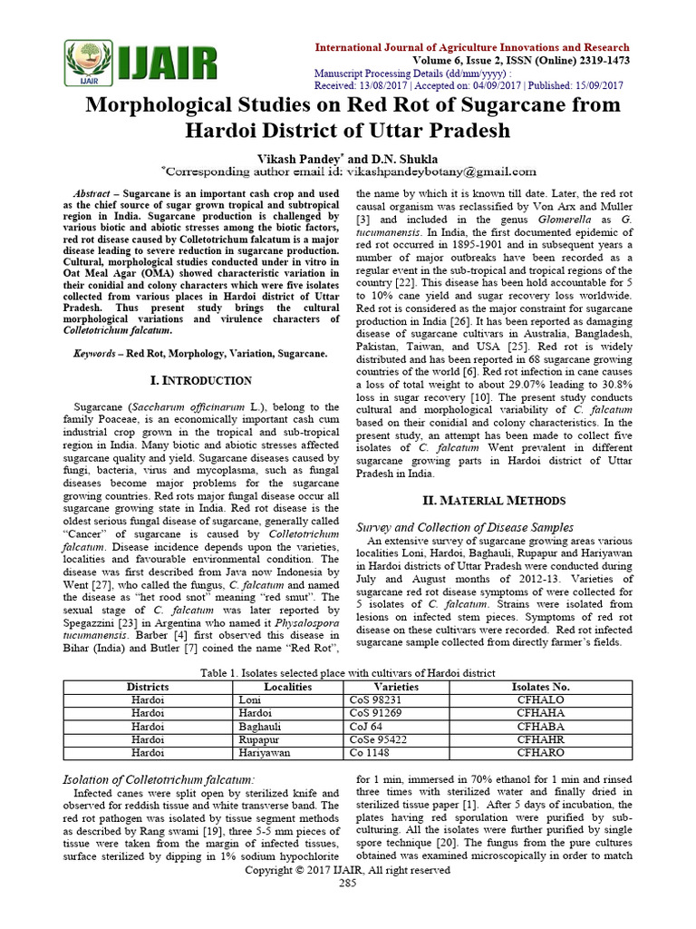 Red Rot Disease in Sugarcane Morphology | PDF | Fungus | Sugarcane