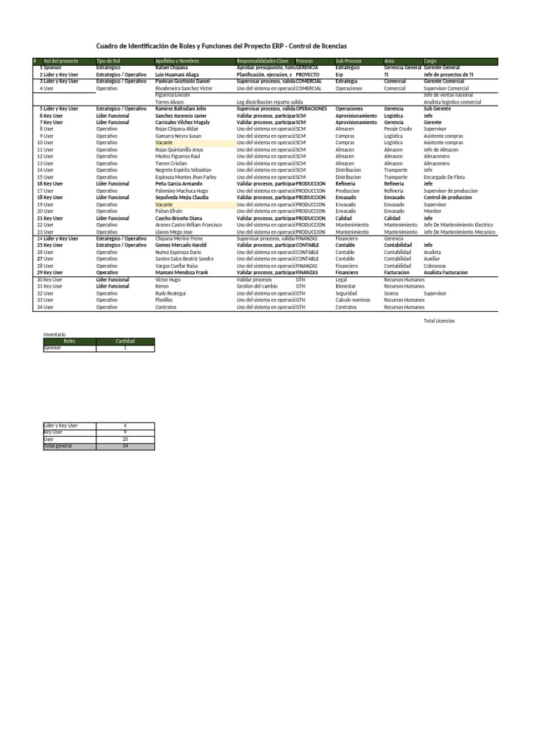 Cuadro de Identificación de Roles y Funciones Proyecto ERP | PDF ...