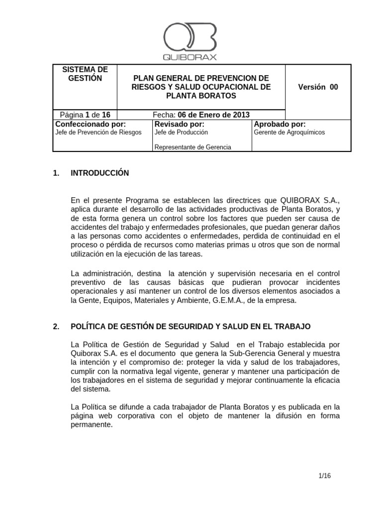 Prevención de Riesgos en Planta Boratos | PDF | Seguridad y salud ...