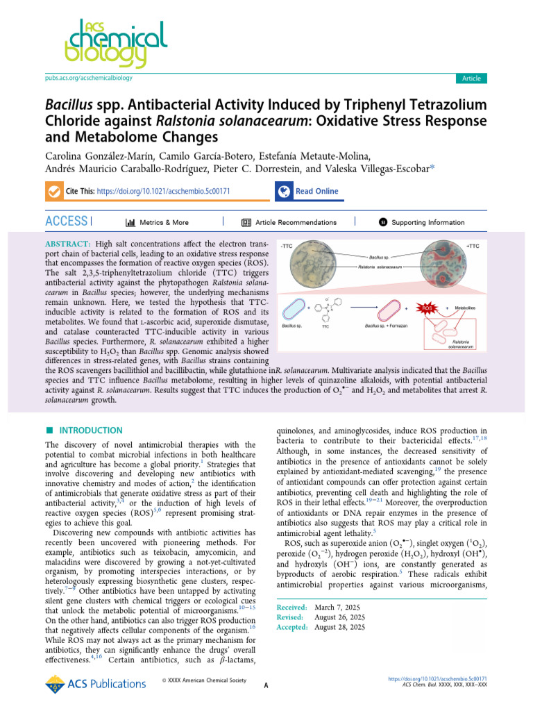 Bacillus Antibacterial Activity via TTC | PDF | Reactive Oxygen Species ...