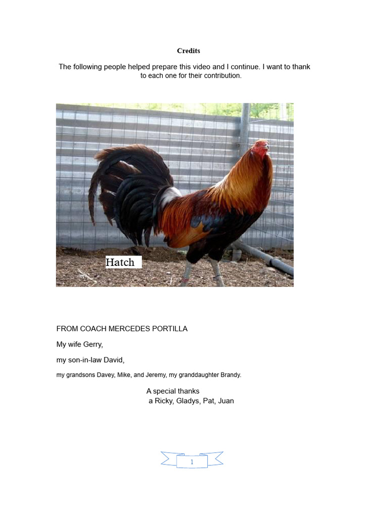 Training and Nutrition for Fighting Roosters | PDF | Teaspoon | Cereals