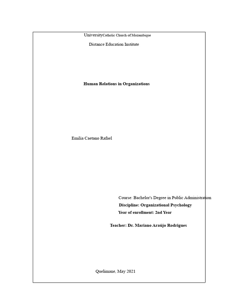 Human Relations in Organizations Analysis | PDF | System | Motivational
