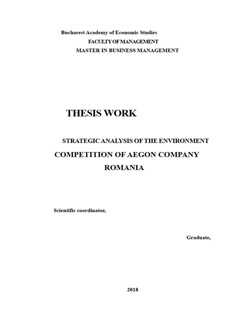 DISSERTATION WORK | PDF | Market (Economics) | Strategic Management