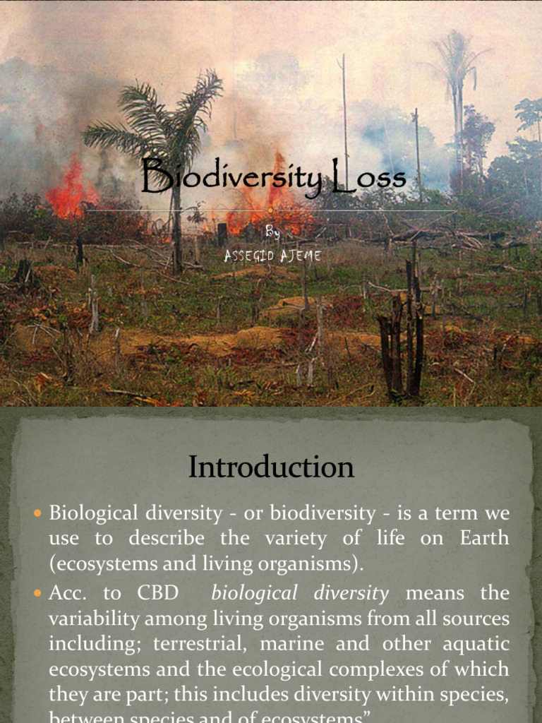 assignment on biodiversity