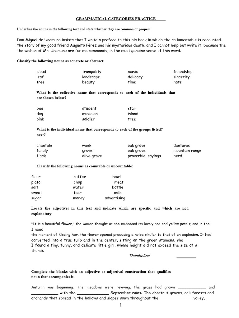 Grammatical Categories Practice Guide | PDF | Noun | Adjective