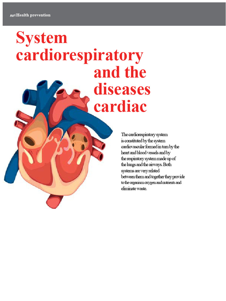 AV 42 Cardiovascular and Respiratory System Heart Diseases PDF | PDF ...