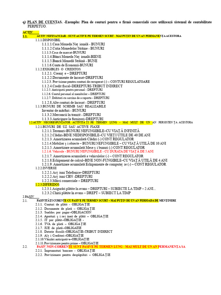 3.1 Plan de Conturi PDF | PDF