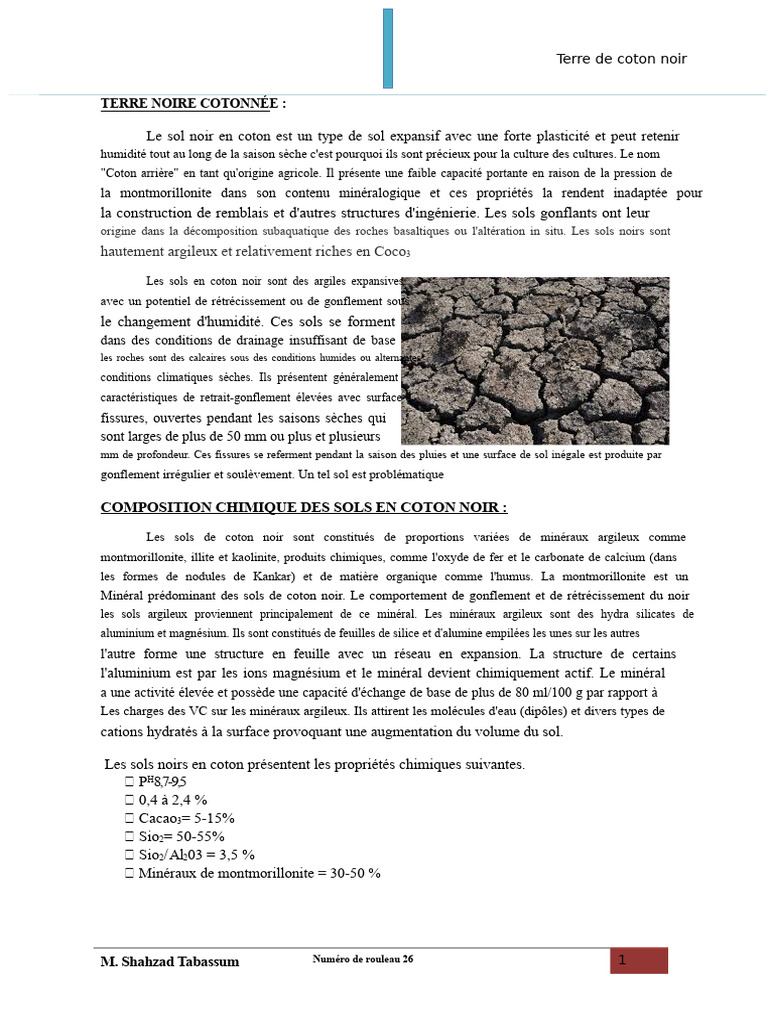 Propriétés et défis des sols en coton noir | PDF | Fondation ...