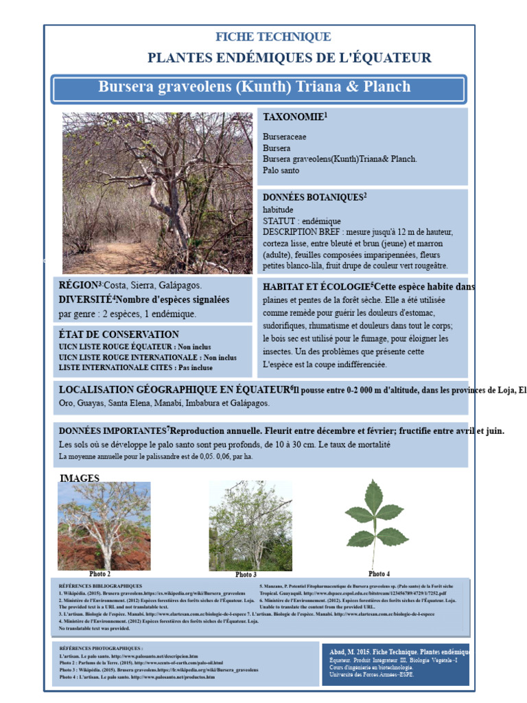Bursera graveolens : Fiche technique | PDF