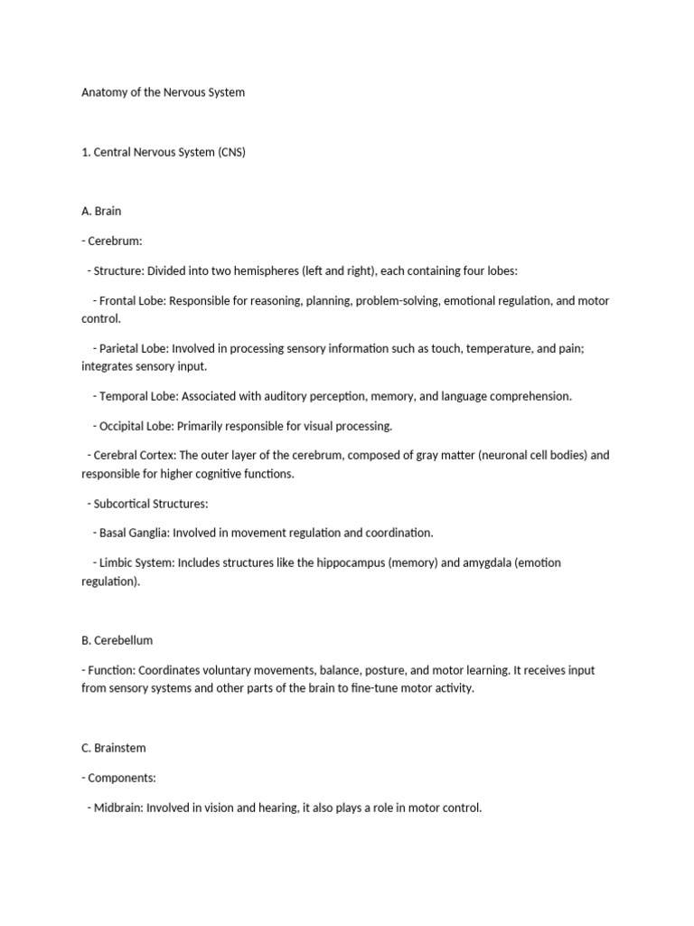 Nervous System Anatomy Explained | PDF | Nervous System | Chemical Synapse