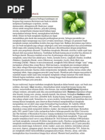 Download BUAH MENGKUDU by Ray Suprapto SN91217803 doc pdf