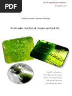Trabalho Sobre as Microalgas Como Fonte de Energia e Captura De1 CO2