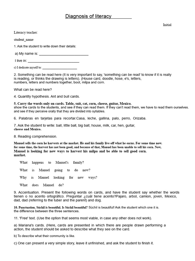 Literacy and Math Diagnosis Guide | PDF