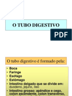 TUBO DIGESTIVO - Farmácia