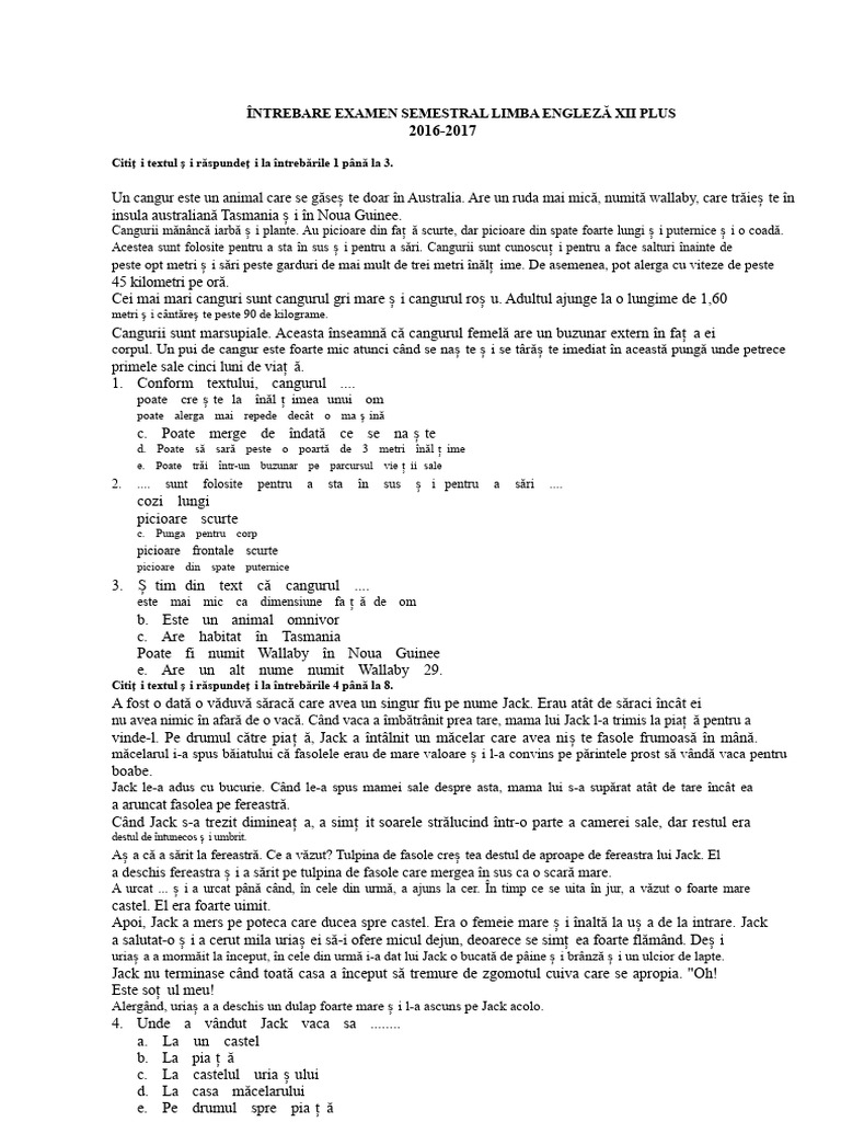 Subiectul Examenului Semestrial de Limba Engleză Clasa A XII-a Plus | PDF