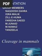 Download Cleavage in Mammals by Irfan Azram SN91235900 doc pdf