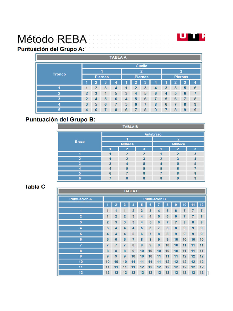 Tablas MetodoREBA | PDF