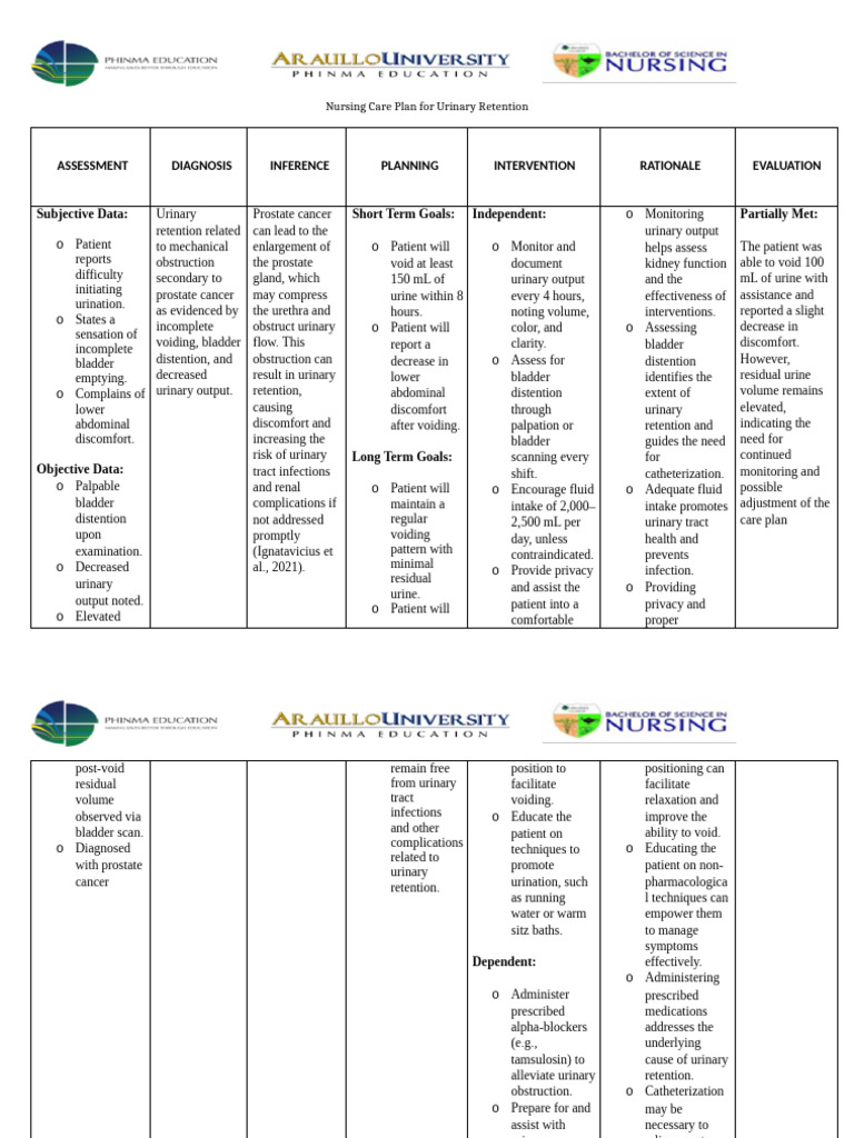 Nursing Care Plan: Urinary Retention | PDF | Urinary System | Urination