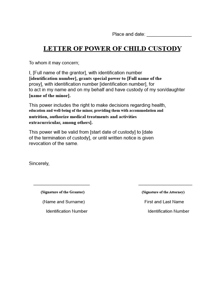 Child Custody Power of Attorney Letter | PDF