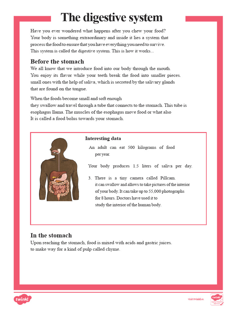 Es2 SL 74 The Digestive System Reading Comprehension | PDF | Digestion ...