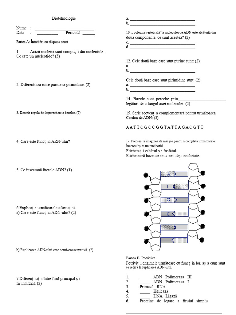 Chestionar ADN | PDF