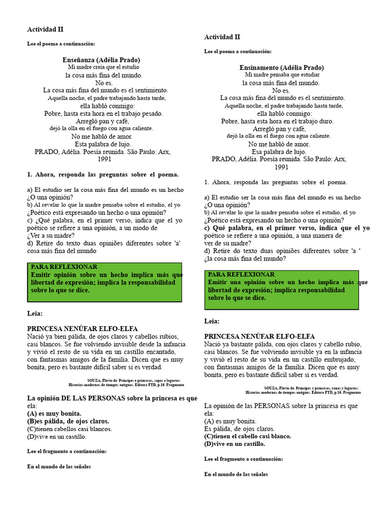 Actividad 7° Año | PDF