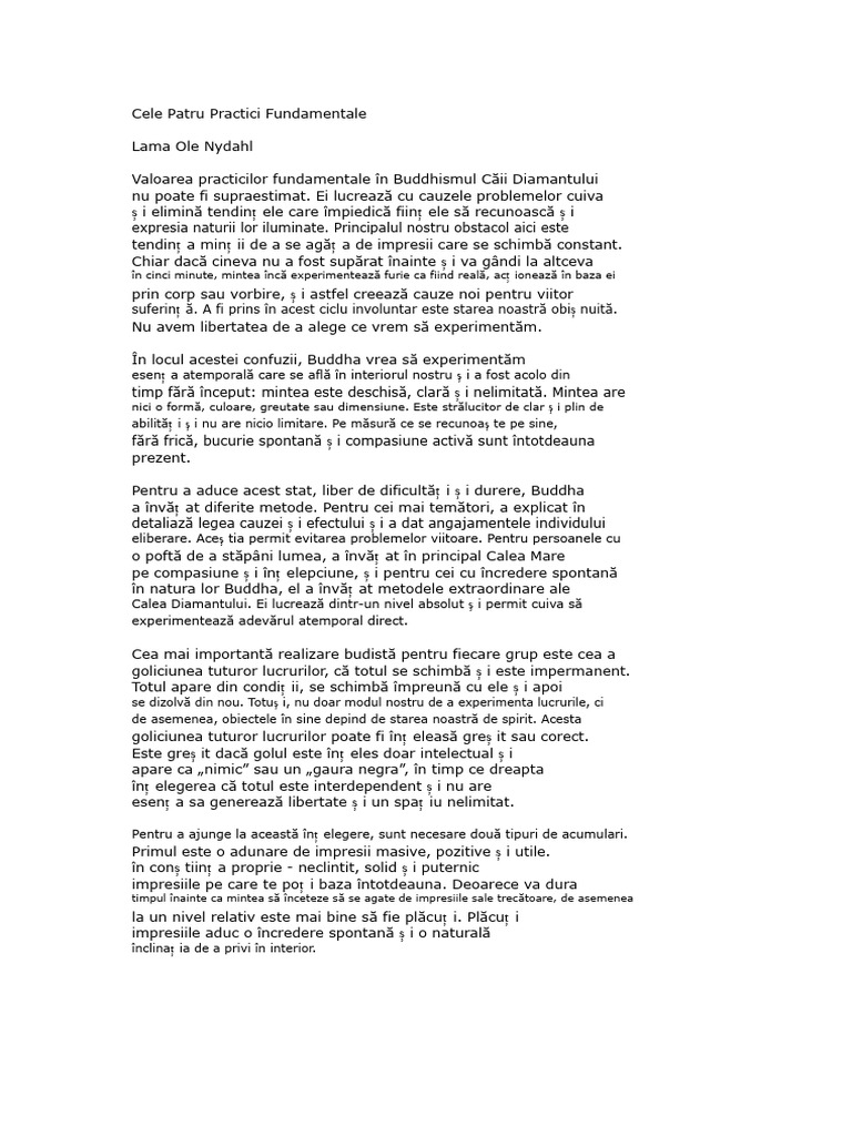 Cele Patru Practici Fundamentale | PDF