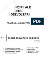 6 Principii Ale Teoriei Dezvoltarii