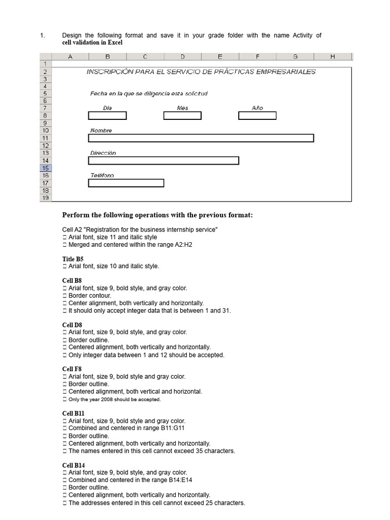 Excel Cell Validation Formatting Guide | PDF