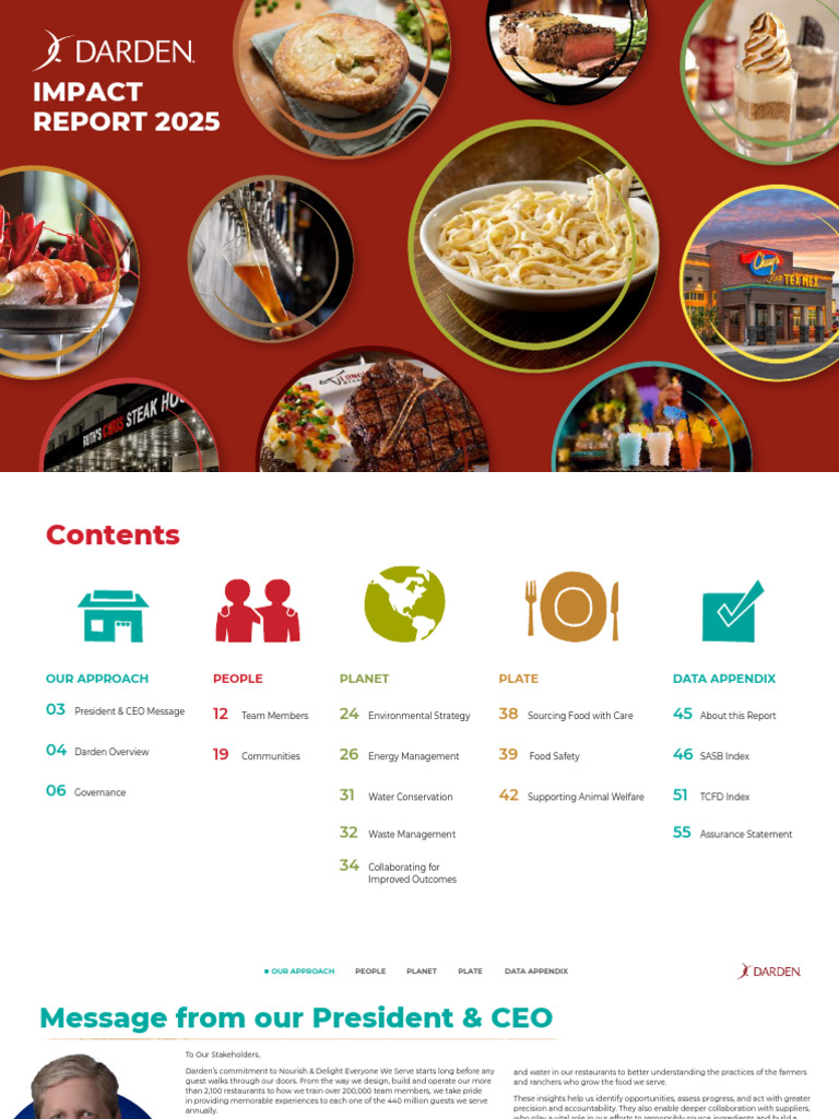 DRI 2025 Impact Report | PDF | Risk | Governance
