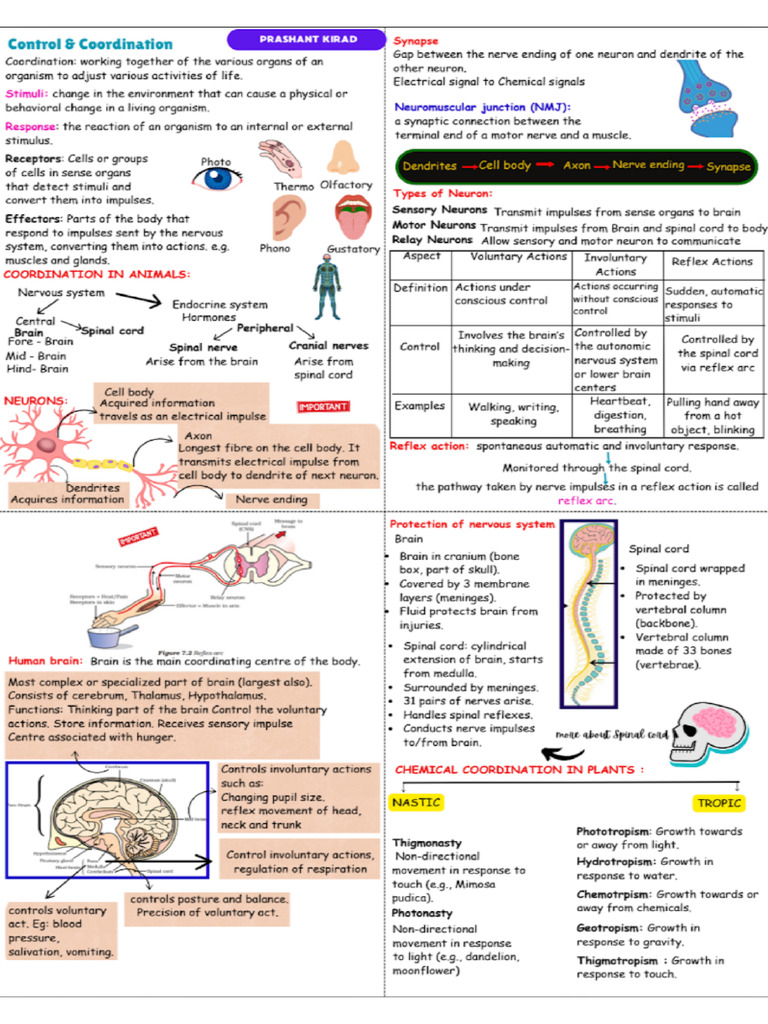 Sci 4 | PDF