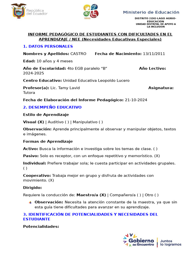 Informe Pedagógico: Dificultades de Aprendizaje | PDF | Plan de ...