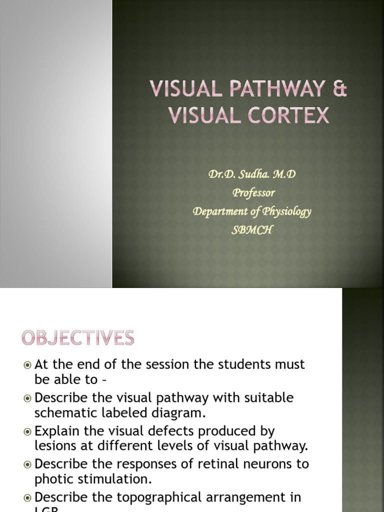 Tectopulvinar Pathway in Vision | PDF | Visual Cortex | Visual System