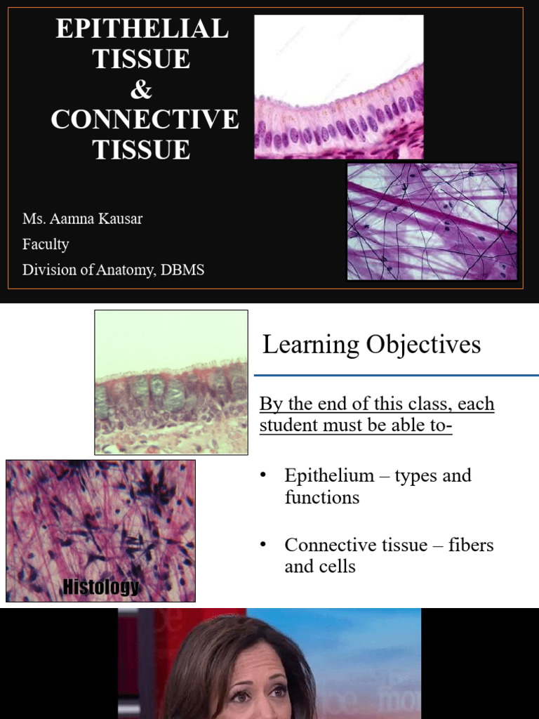 Epithelium and Connective Tissue-MCHP-1 | PDF | Epithelium | Anatomy