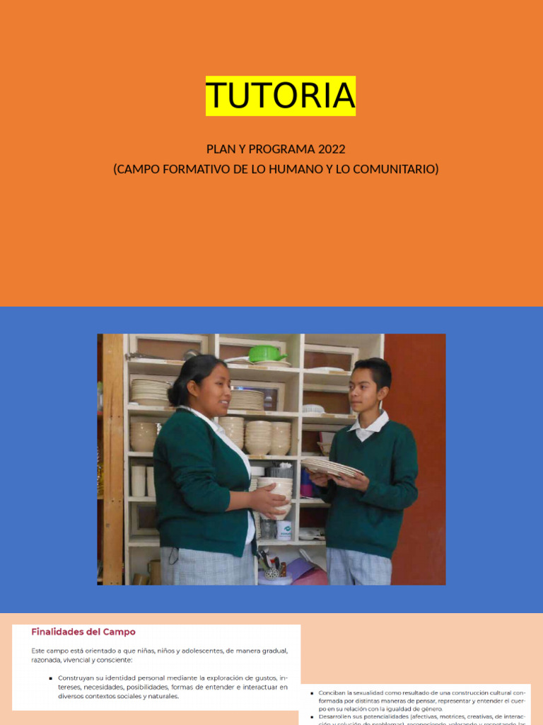 Programa de Estudios Tutoria | PDF